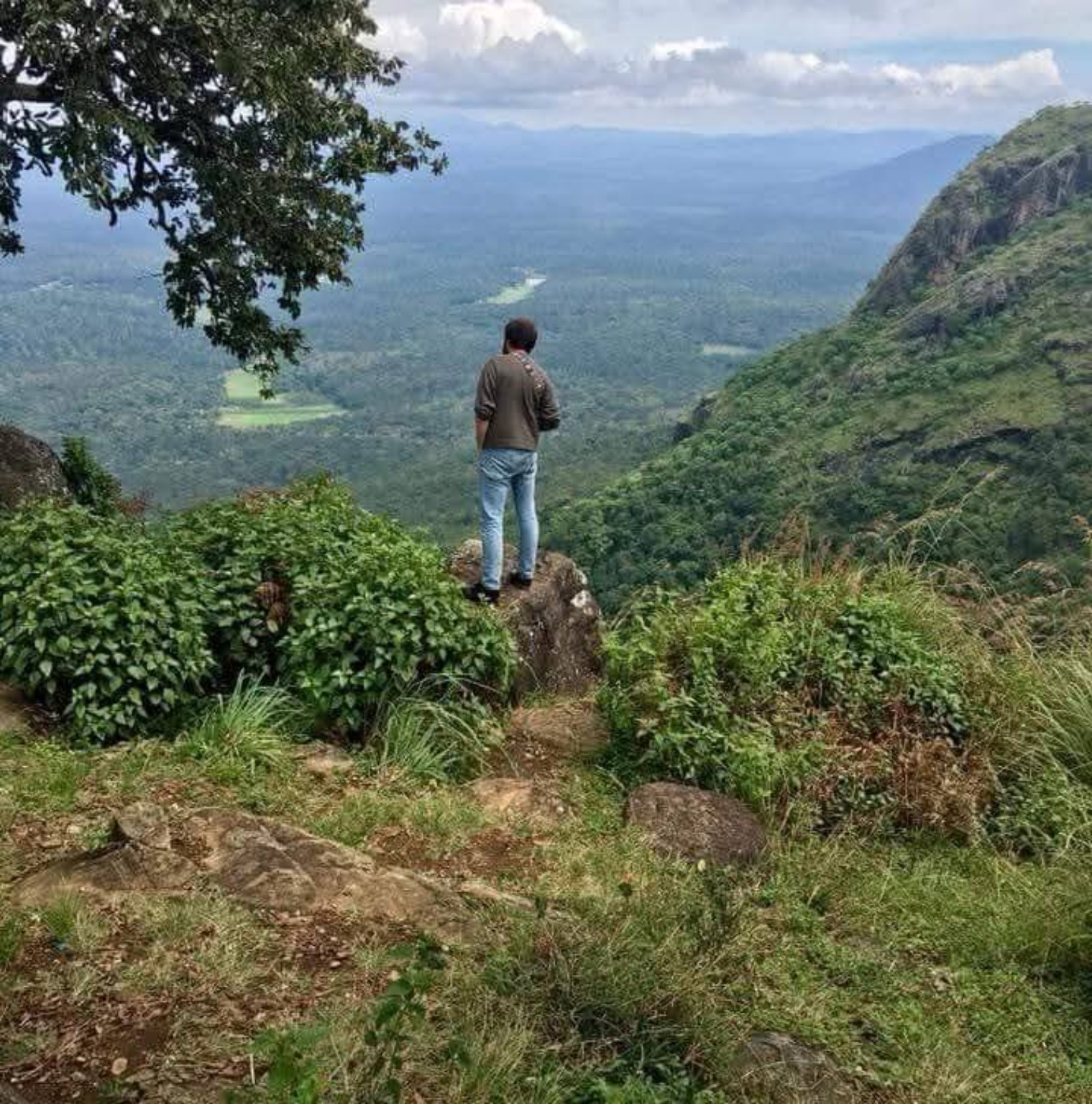 Mountain landscape